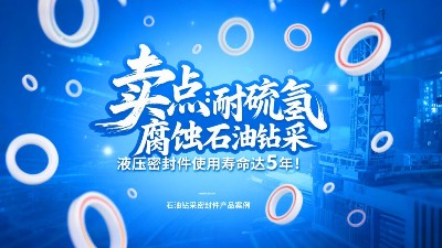 賣點(diǎn)?：耐硫化氫腐蝕！石油鉆采液壓密封圈使用壽命達(dá)5年！