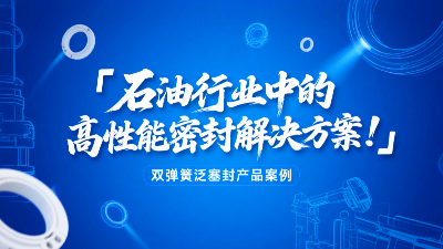 ?雙彈簧泛塞封產(chǎn)品案例 ? 石油行業(yè)中的高性能密封解決方案！?
