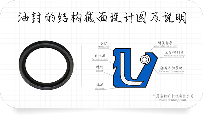 油封的結(jié)構(gòu)截面設計圖及密封件說明和密封圈產(chǎn)品實圖