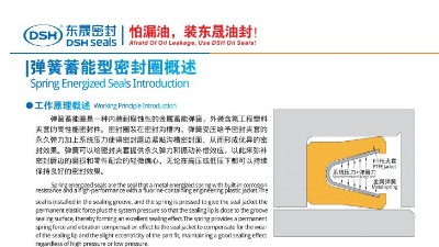 <i style='color:red'>泛塞封唇型密封圈</i>彈簧蓄能型密封圈概述 <i style='color:red'>泛塞封唇型密封圈</i>彈簧蓄能型密封圈概述