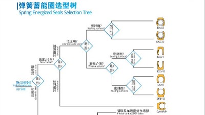 <i style='color:red'>泛塞封唇型密封圈</i>彈簧蓄能圈選型 <i style='color:red'>泛塞封唇型密封圈</i>彈簧蓄能圈選型