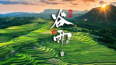 谷雨：<i style='color:red'>春天</i>的結(jié)束，生機(jī)的開始！