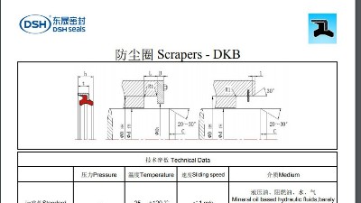 防塵圈DKB規(guī)格尺寸表