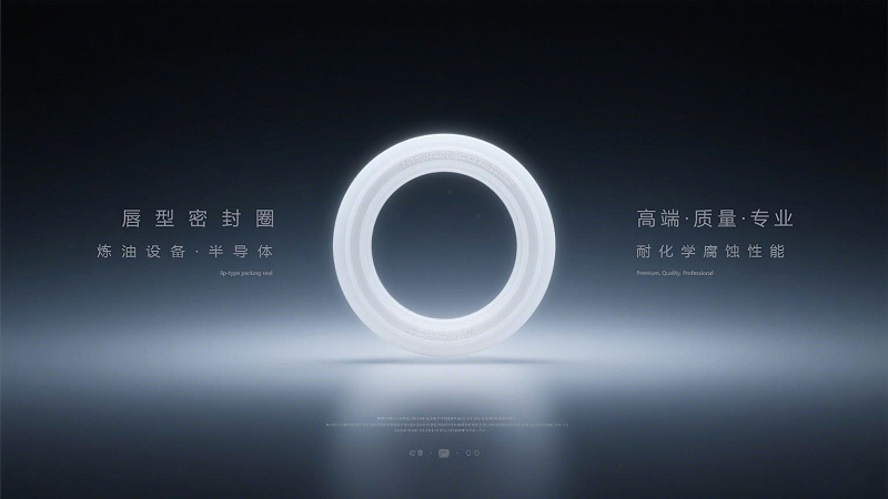 唇型密封圈1